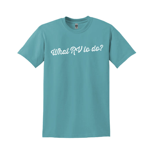 What RV to do? DryBlend T-Shirt